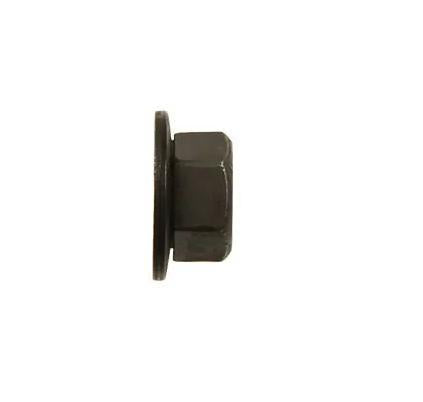 DSC.1639PK Black Phosphate Metric Hex Nut