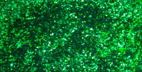 ROT.RF121 GREENGO STD FLAKE .015 "Standard"