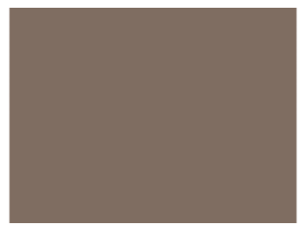 HIT.HFP655-1.GL ARIZONA BEIGE (FORD AQ) B/C