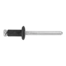 AVC.AP12653.PK AUVECO PAK PEEL-TYPE RIVETS, 3/32 - 1/8 GRIP