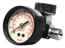 AST.WS11 Air Regulator with Gauge